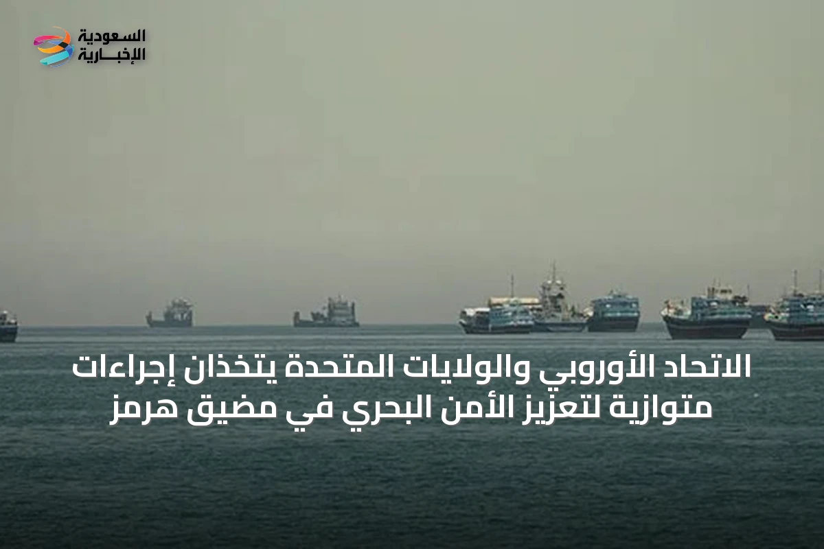 الاتحاد الأوروبي والولايات المتحدة يتخذان إجراءات متوازية لتعزيز الأمن البحري في مضيق هرمز