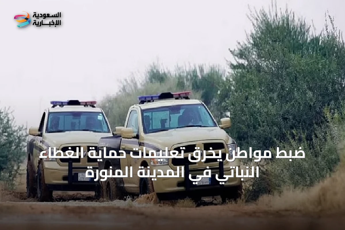 ضبط مواطن يخرق تعليمات حماية الغطاء النباتي في المدينة المنورة