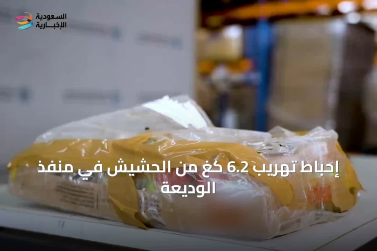 إحباط تهريب 6.2 كغ من الحشيش في منفذ الوديعة