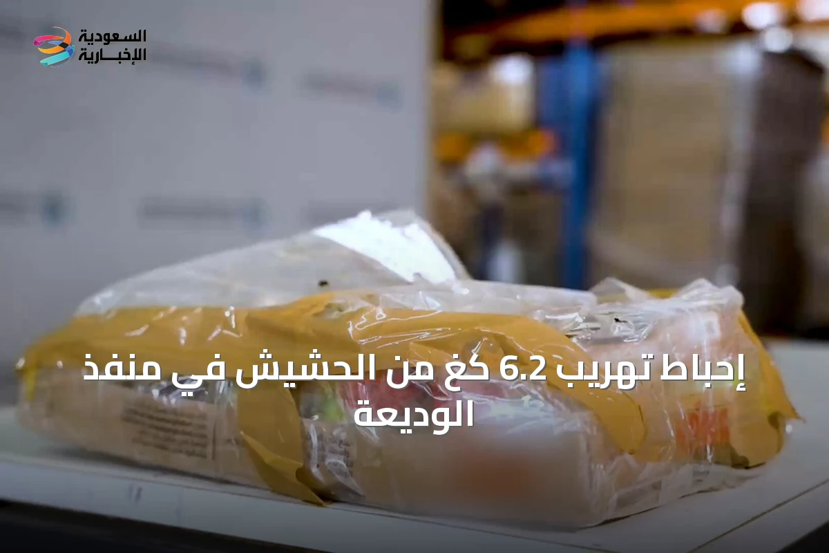 إحباط تهريب 6.2 كغ من الحشيش في منفذ الوديعة