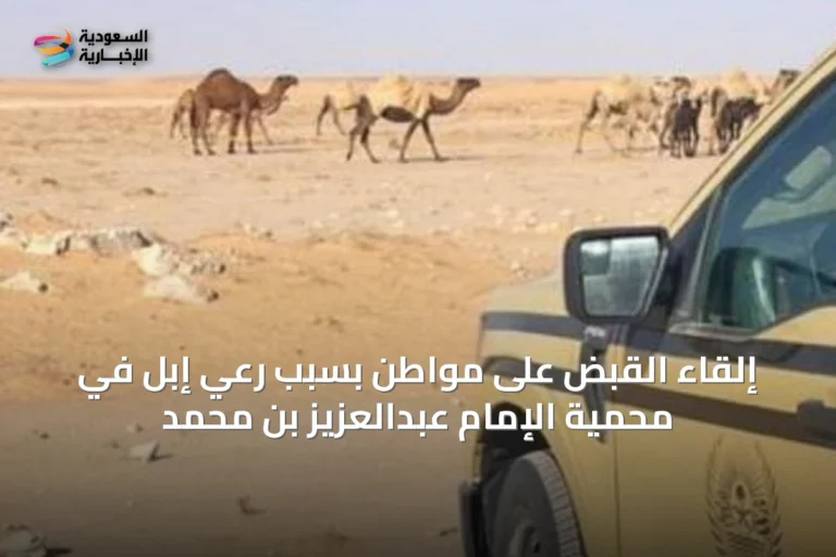 إلقاء القبض على مواطن بسبب رعي إبل في محمية الإمام عبدالعزيز بن محمد