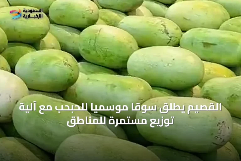 القصيم يطلق سوقًا موسميًا للحبحب مع آلية توزيع مستمرة للمناطق