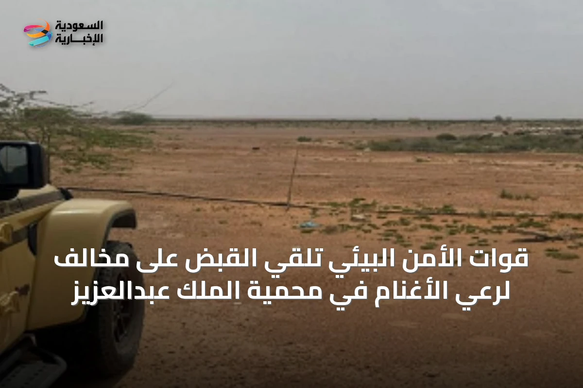 قوات الأمن البيئي تلقي القبض على مخالف لرعي الأغنام في محمية الملك عبدالعزيز