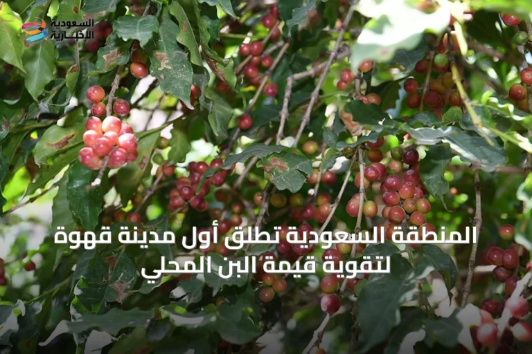 المنطقة السعودية تطلق أول مدينة قهوة لتقوية قيمة البن المحلي
