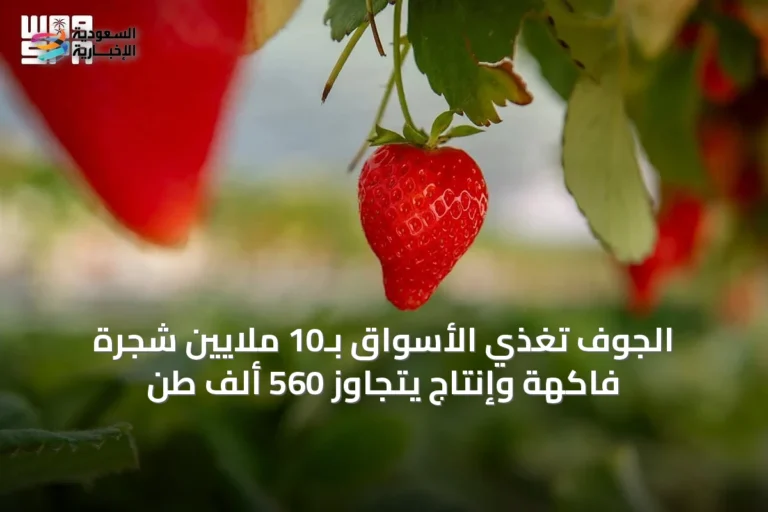 الجوف تُغذّي الأسواق بـ10 ملايين شجرة فاكهة وإنتاج يتجاوز 560 ألف طن