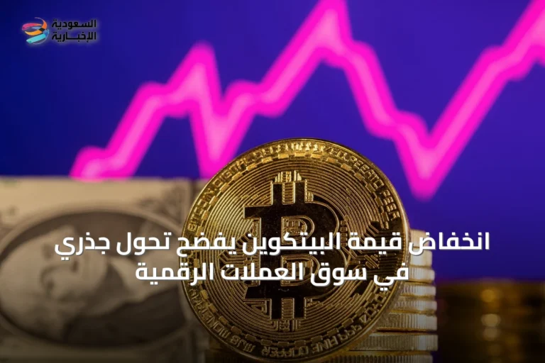 انخفاض قيمة البيتكوين يفضح تحول جذري في سوق العملات الرقمية