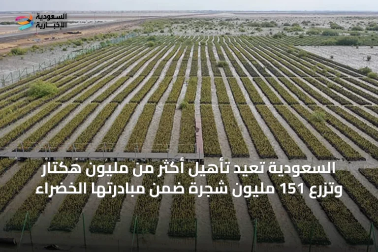 السعودية تُعيد تأهيل أكثر من مليون هكتار وتزرع 151 مليون شجرة ضمن مبادرتها الخضراء