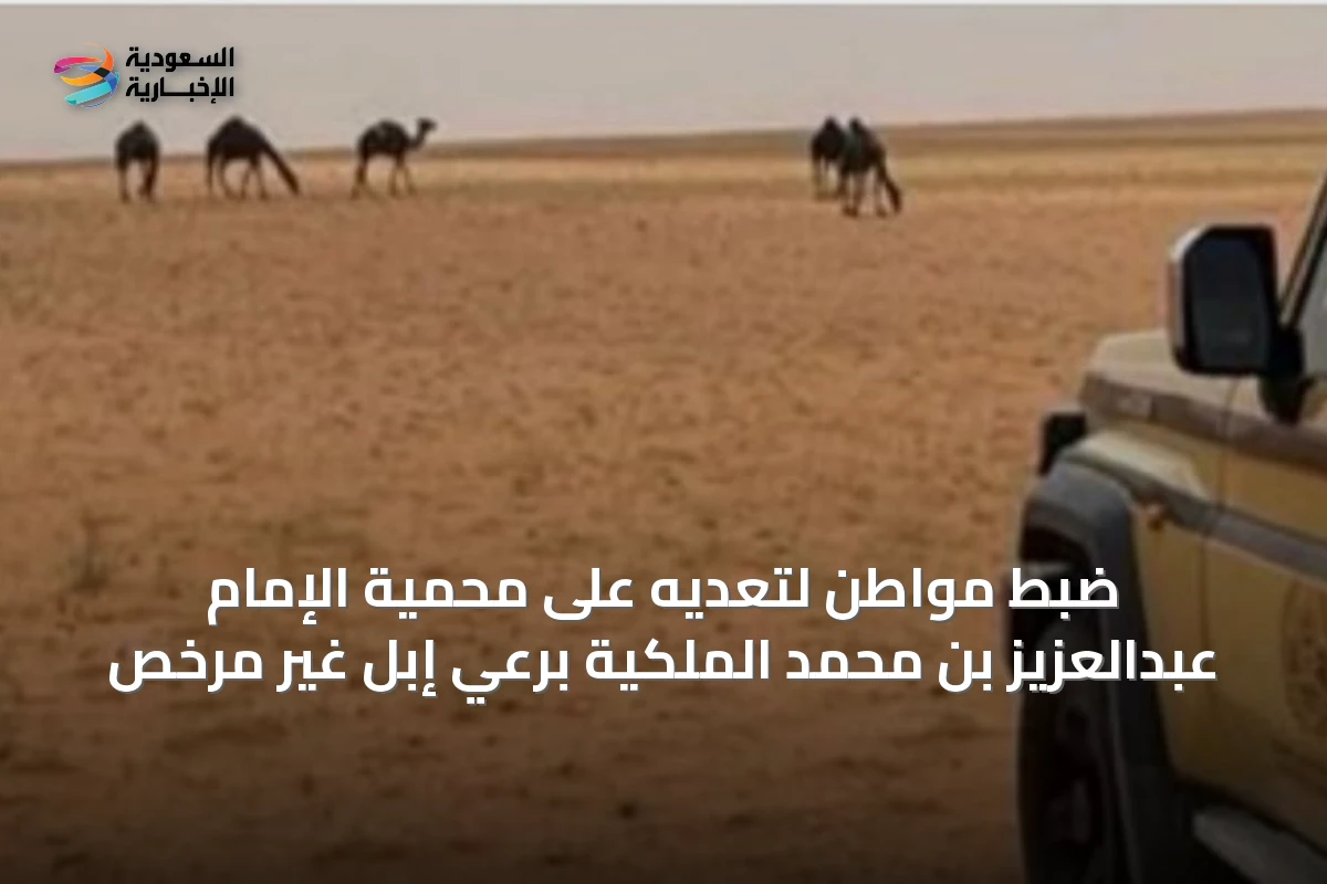 ضبط مواطن لتعديه على محمية الإمام عبدالعزيز بن محمد الملكية برعي إبل غير مرخص