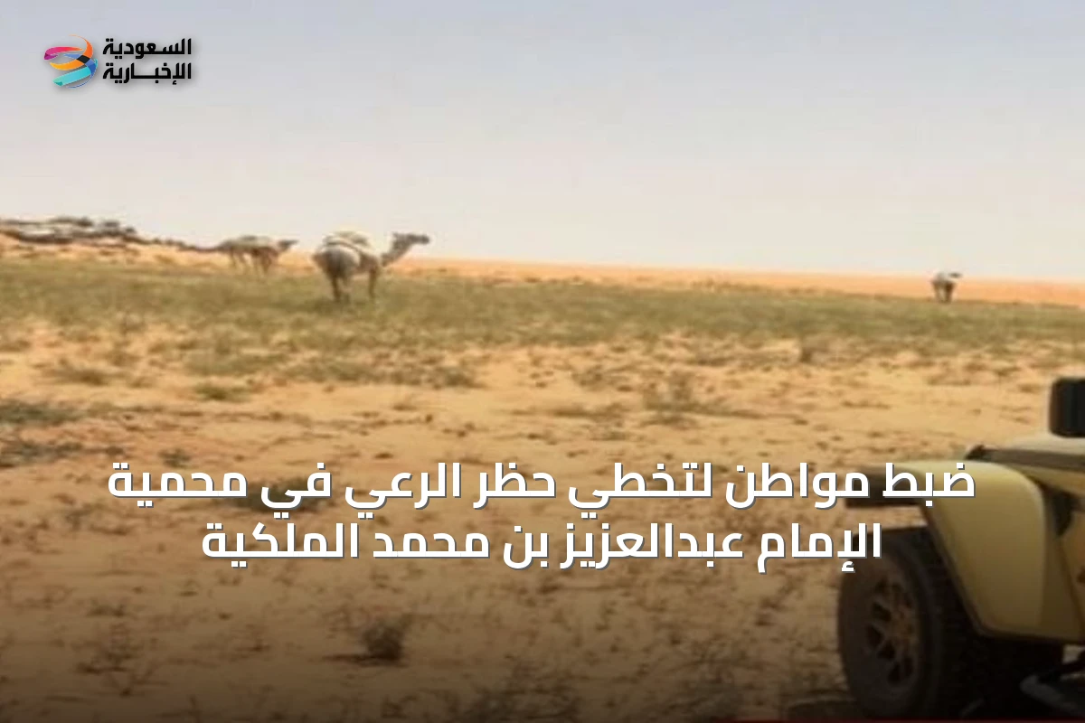 ضبط مواطن لتخطي حظر الرعي في محمية الإمام عبدالعزيز بن محمد الملكية