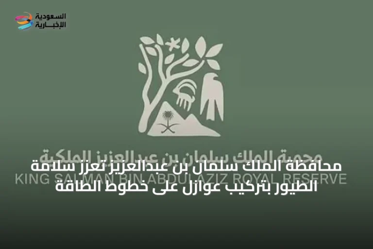 محافظة الملك سلمان بن عبدالعزيز تُعزز سلامة الطيور بتركيب عوازل على خطوط الطاقة