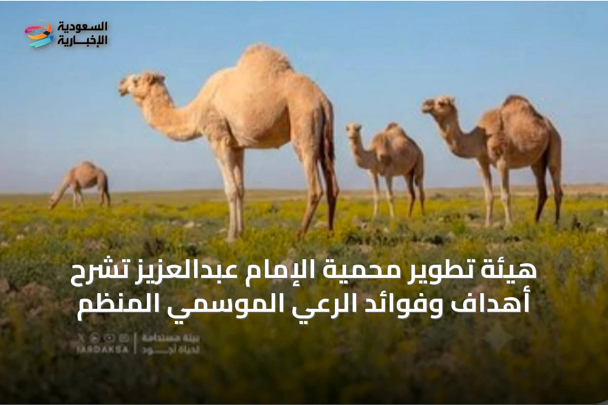 هيئة تطوير محمية الإمام عبدالعزيز تشرح أهداف وفوائد الرعي الموسمي المنظم
