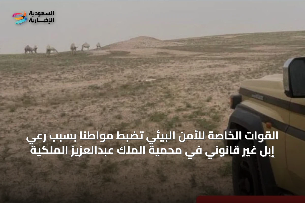 القوات الخاصة للأمن البيئي تضبط مواطنًا بسبب رعي إبل غير قانوني في محمية الملك عبدالعزيز الملكية