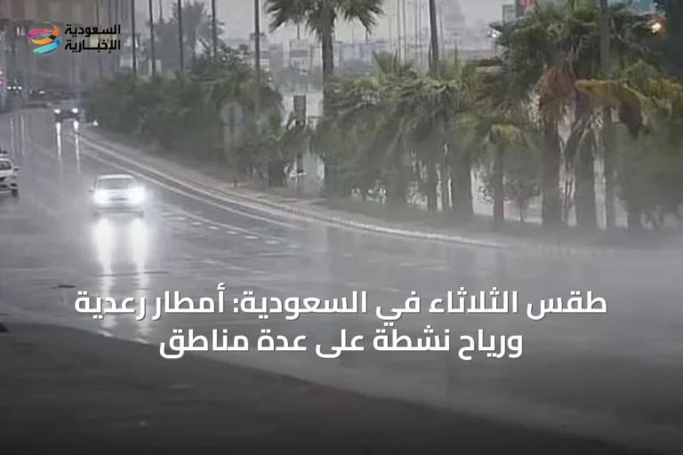 طقس الثلاثاء في السعودية: أمطار رعدية ورياح نشطة على عدة مناطق
