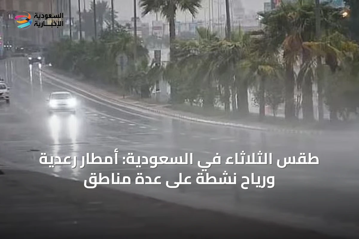 طقس الثلاثاء في السعودية: أمطار رعدية ورياح نشطة على عدة مناطق
