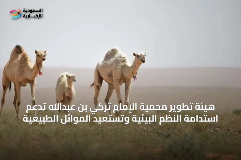 هيئة تطوير محمية الإمام تركي بن عبدالله تدعم استدامة النظم البيئية وتستعيد الموائل الطبيعية