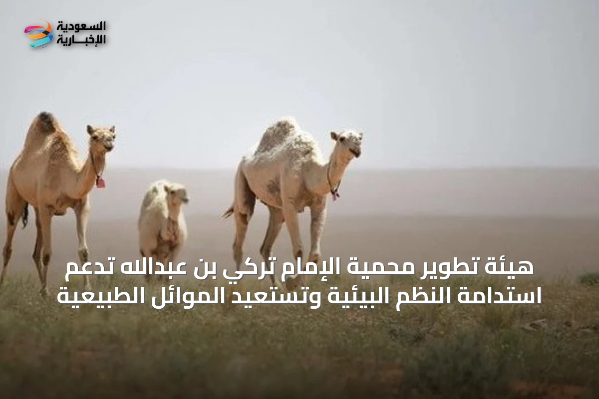 هيئة تطوير محمية الإمام تركي بن عبدالله تدعم استدامة النظم البيئية وتستعيد الموائل الطبيعية