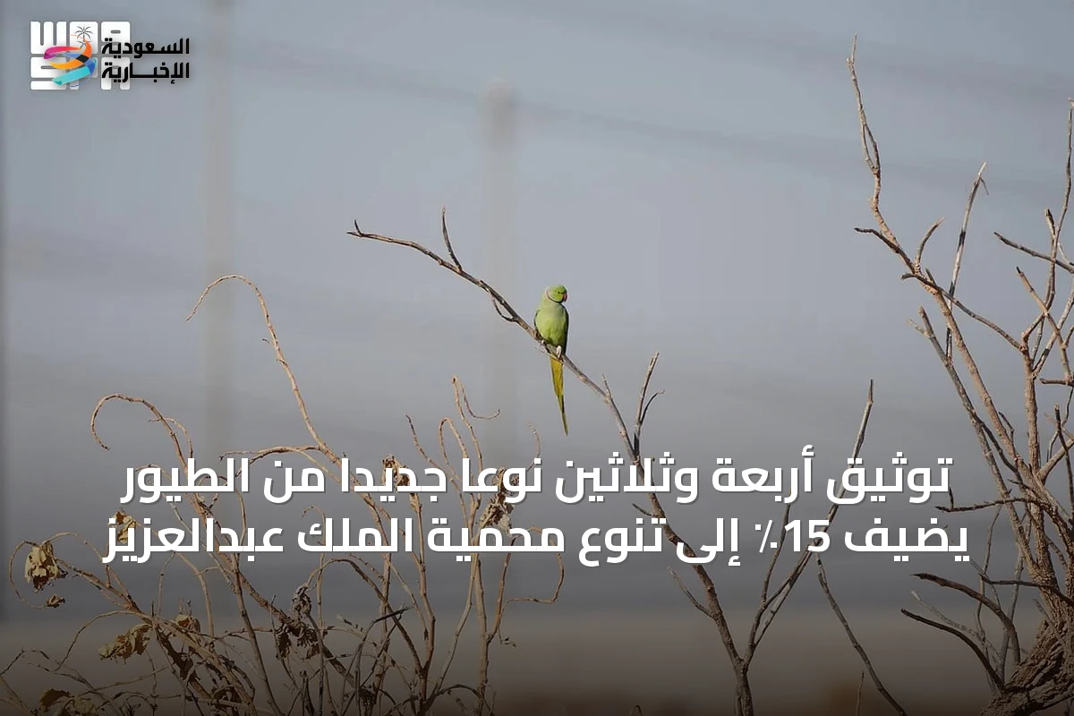 توثيق أربعة وثلاثين نوعًا جديدًا من الطيور يضيف 15٪ إلى تنوع محمية الملك عبدالعزيز