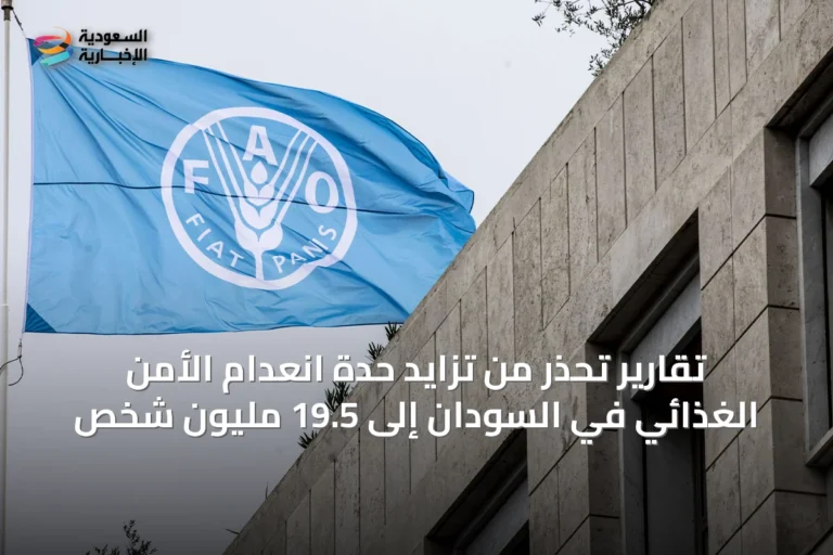 تقارير تحذر من تزايد حدة انعدام الأمن الغذائي في السودان إلى 19.5 مليون شخص