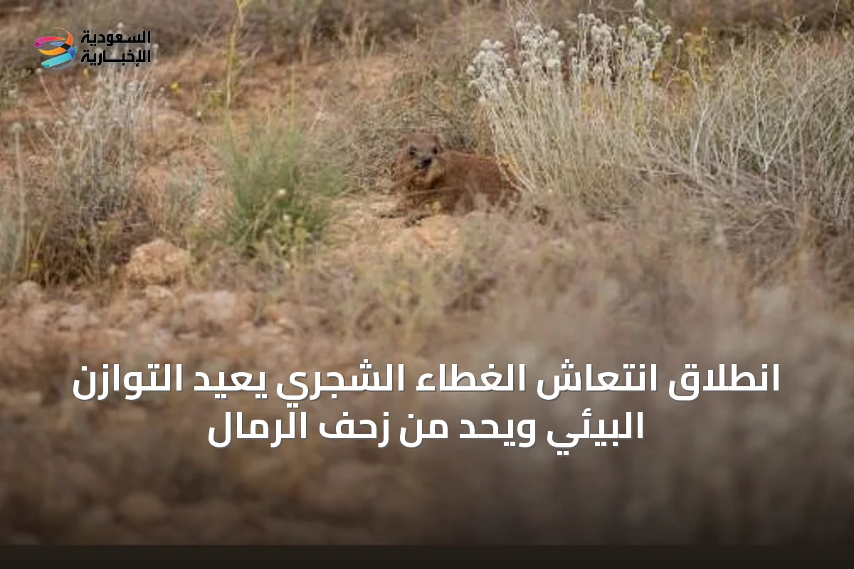 انطلاق انتعاش الغطاء الشجري يعيد التوازن البيئي ويحد من زحف الرمال