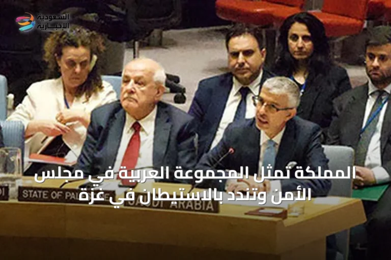 المملكة تمثل المجموعة العربية في مجلس الأمن وتندد بالاستيطان في غزة