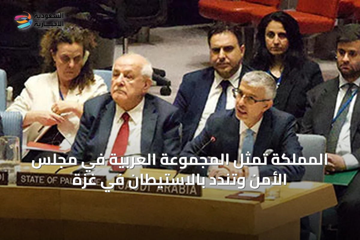 المملكة تمثل المجموعة العربية في مجلس الأمن وتندد بالاستيطان في غزة