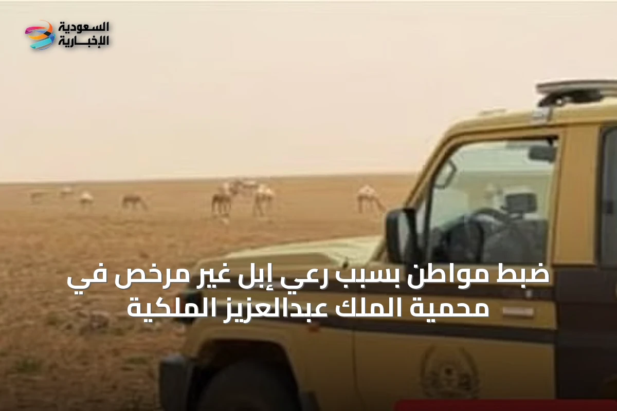 ضبط مواطن بسبب رعي إبل غير مرخص في محمية الملك عبدالعزيز الملكية