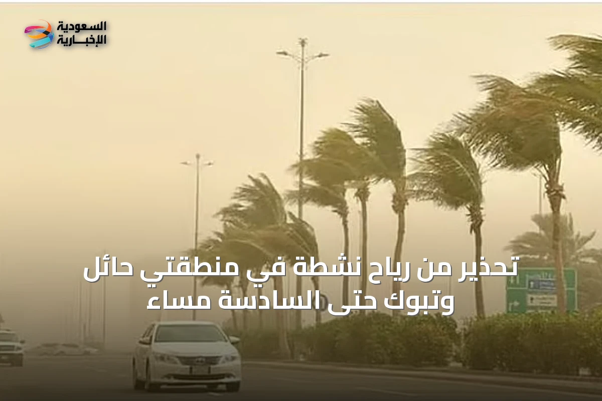 تحذير من رياح نشطة في منطقتي حائل وتبوك حتى السادسة مساءً