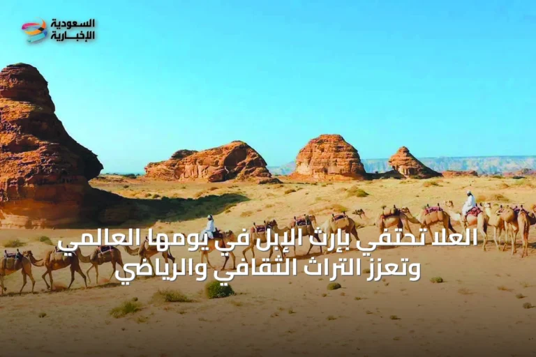 العُلا تحتفي بإرث الإبل في يومها العالمي وتُعزّز التراث الثقافي والرياضي