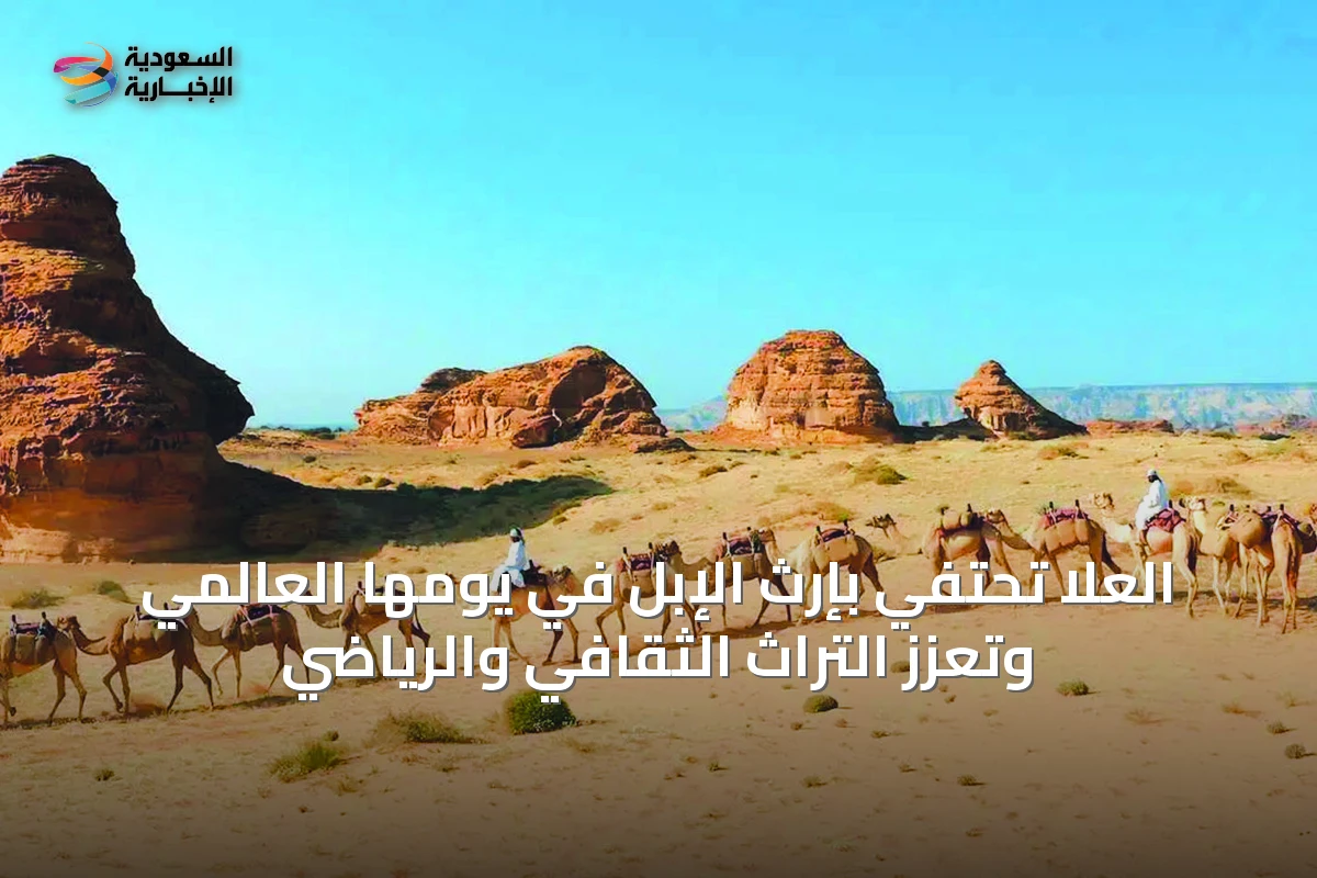 العُلا تحتفي بإرث الإبل في يومها العالمي وتُعزّز التراث الثقافي والرياضي