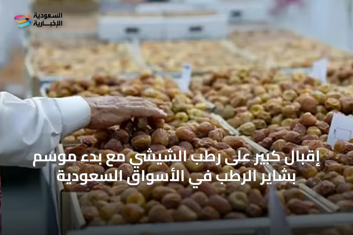 إقبال كبير على رطب الشيشي مع بدء موسم بشاير الرطب في الأسواق السعودية