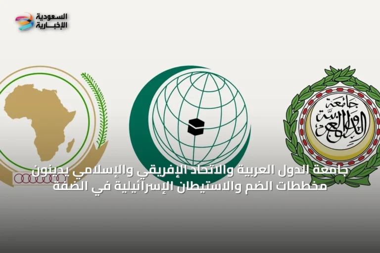 جامعة الدول العربية والاتحاد الإفريقي والإسلامي يدينون مخططات الضم والاستيطان الإسرائيلية في الضفة