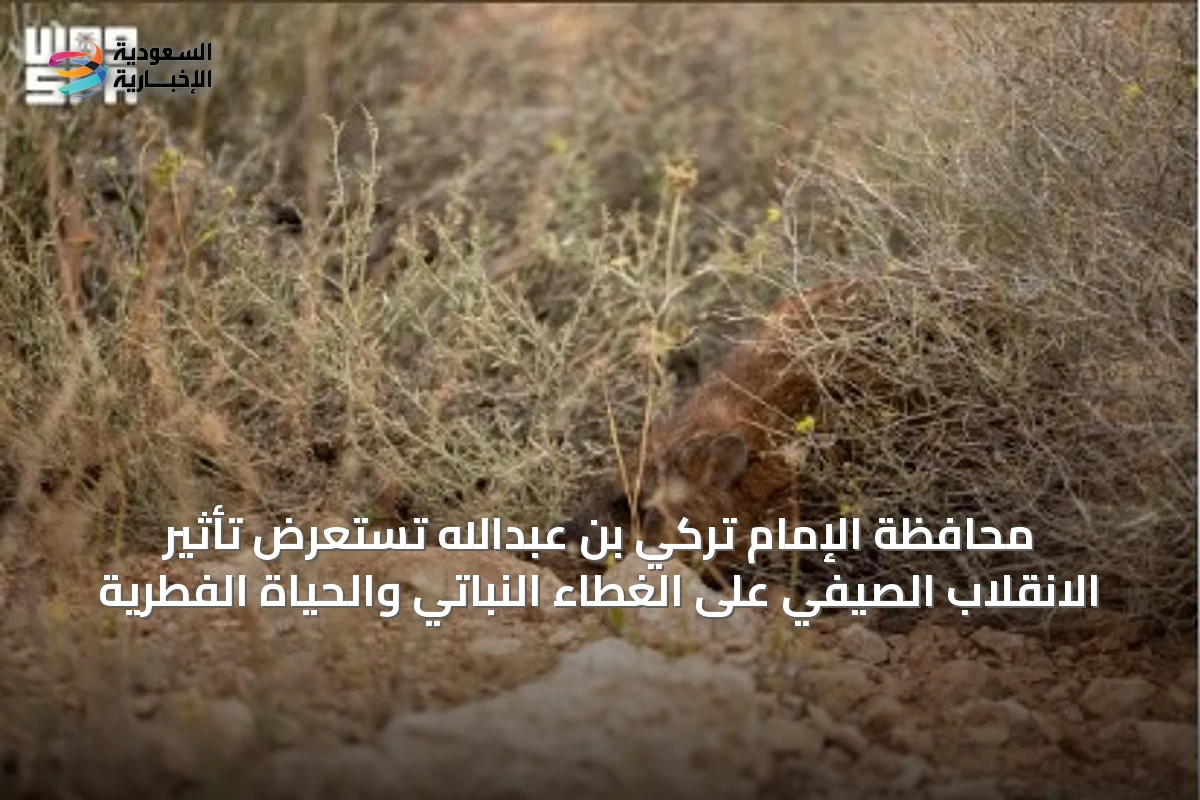 محافظة الإمام تركي بن عبدالله تستعرض تأثير الانقلاب الصيفي على الغطاء النباتي والحياة الفطرية