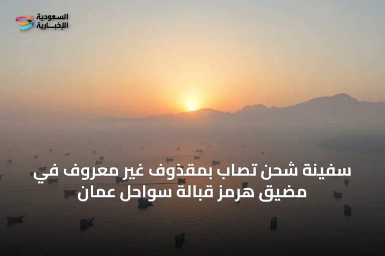 سفينة شحن تُصاب بمقذوف غير معروف في مضيق هرمز قبالة سواحل عُمان