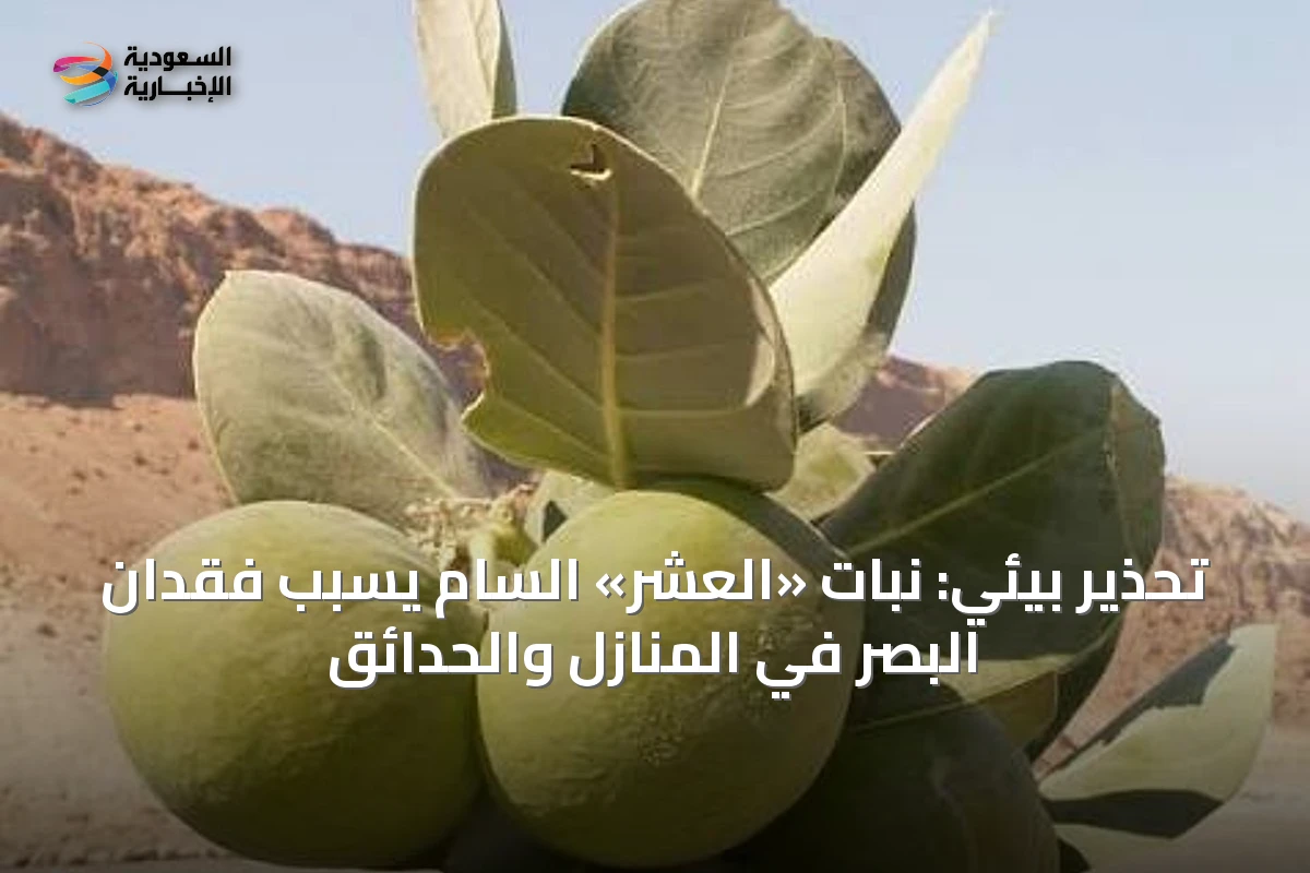تحذير بيئي: نبات «العشر» السام يسبب فقدان البصر في المنازل والحدائق