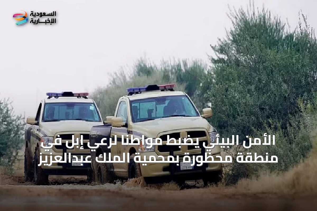الأمن البيئي يضبط مواطنًا لرعي إبل في منطقة محظورة بمحمية الملك عبدالعزيز
