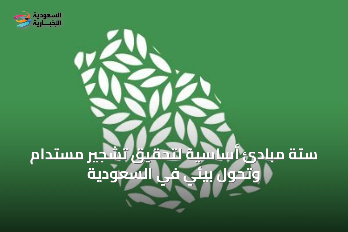 ستة مبادئ أساسية لتحقيق تشجير مستدام وتحوّل بيئي في السعودية