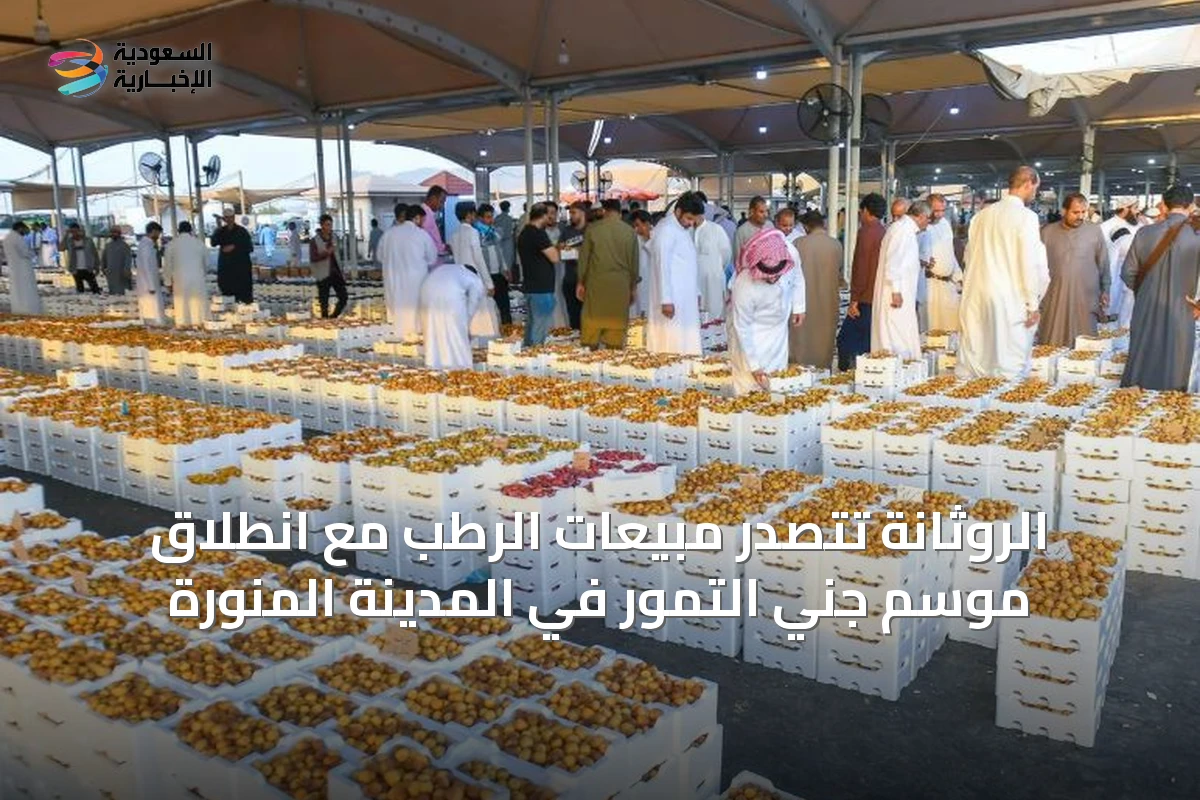 الروثانة تتصدر مبيعات الرطب مع انطلاق موسم جني التمور في المدينة المنورة