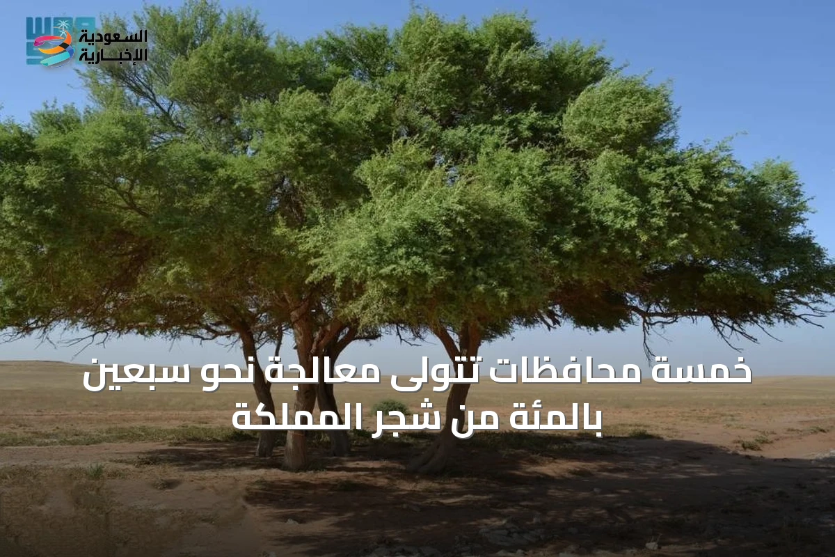 خمسة محافظات تتولى معالجة نحو سبعين بالمئة من شجر المملكة