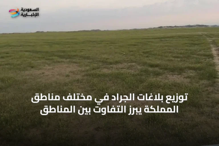 توزيع بلاغات الجراد في مختلف مناطق المملكة يبرز التفاوت بين المناطق
