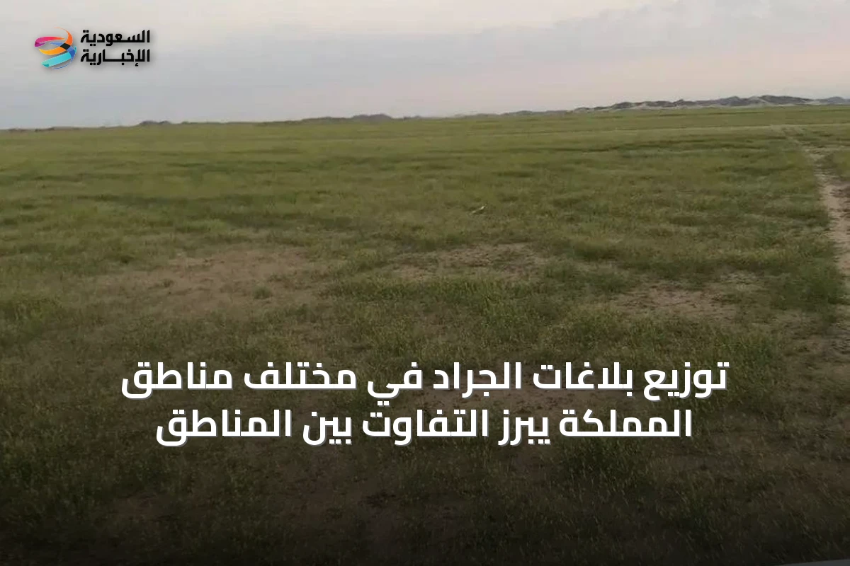 توزيع بلاغات الجراد في مختلف مناطق المملكة يبرز التفاوت بين المناطق