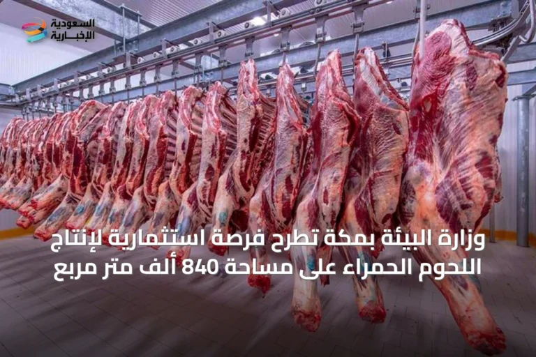 وزارة البيئة بمكة تطرح فرصة استثمارية لإنتاج اللحوم الحمراء على مساحة 840 ألف متر مربع