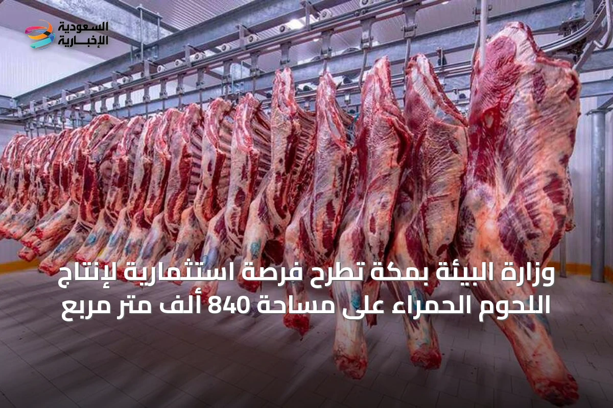 وزارة البيئة بمكة تطرح فرصة استثمارية لإنتاج اللحوم الحمراء على مساحة 840 ألف متر مربع