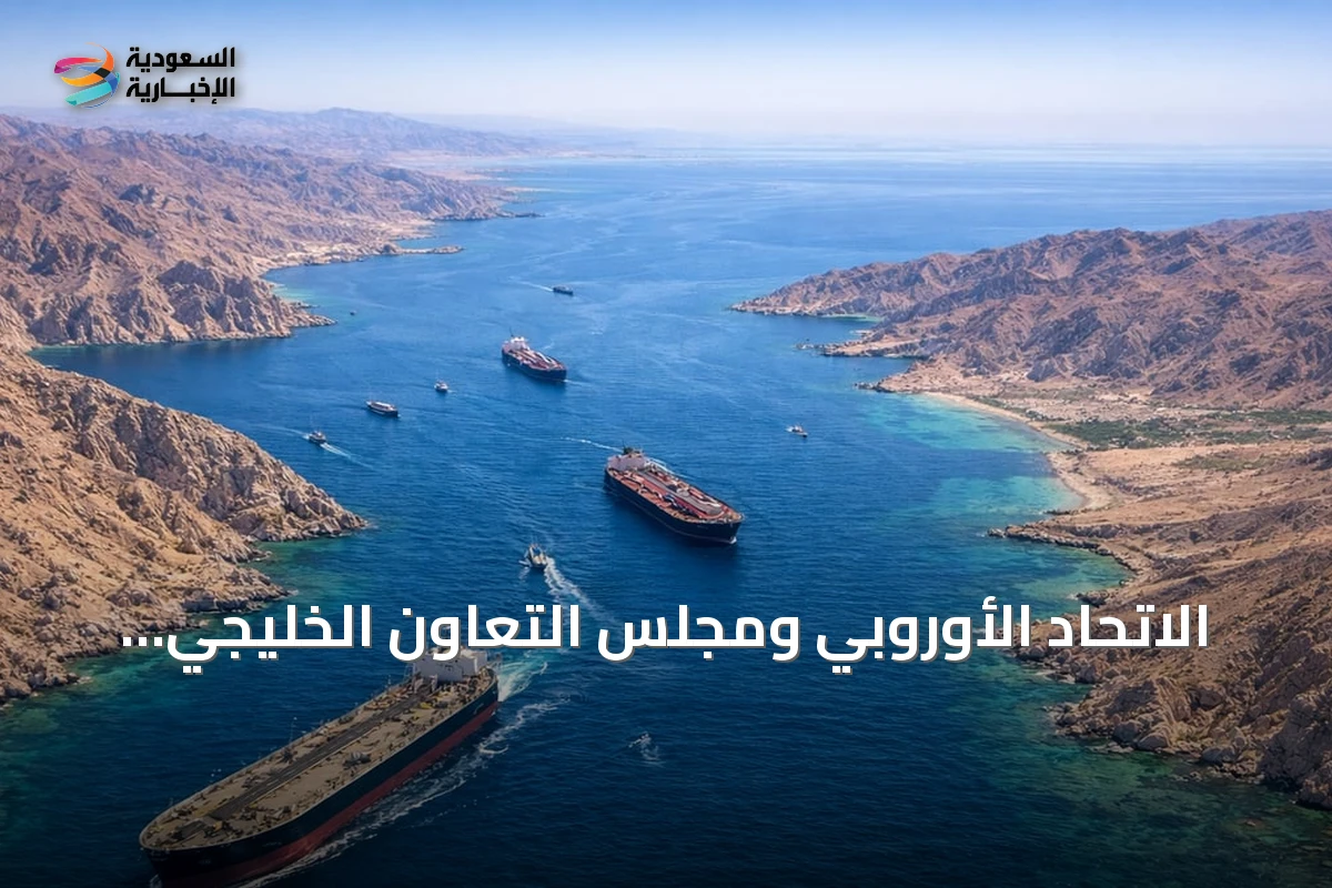 الاتحاد الأوروبي ومجلس التعاون الخليجي يعلنان دعم حرية الملاحة في مضيق هرمز وإدانة الهجمات الإيرانية
