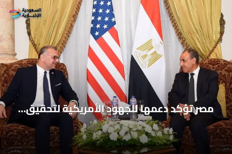 مصر تؤكد دعمها للجهود الأمريكية لتحقيق تسوية سياسية مستدامة في ليبيا