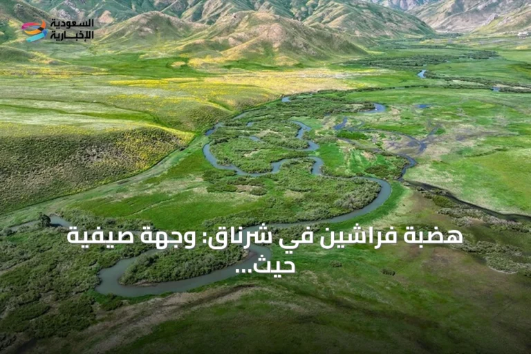 هضبة فراشين في شرناق: وجهة صيفية حيث تلتقي الثلوج بالمرج