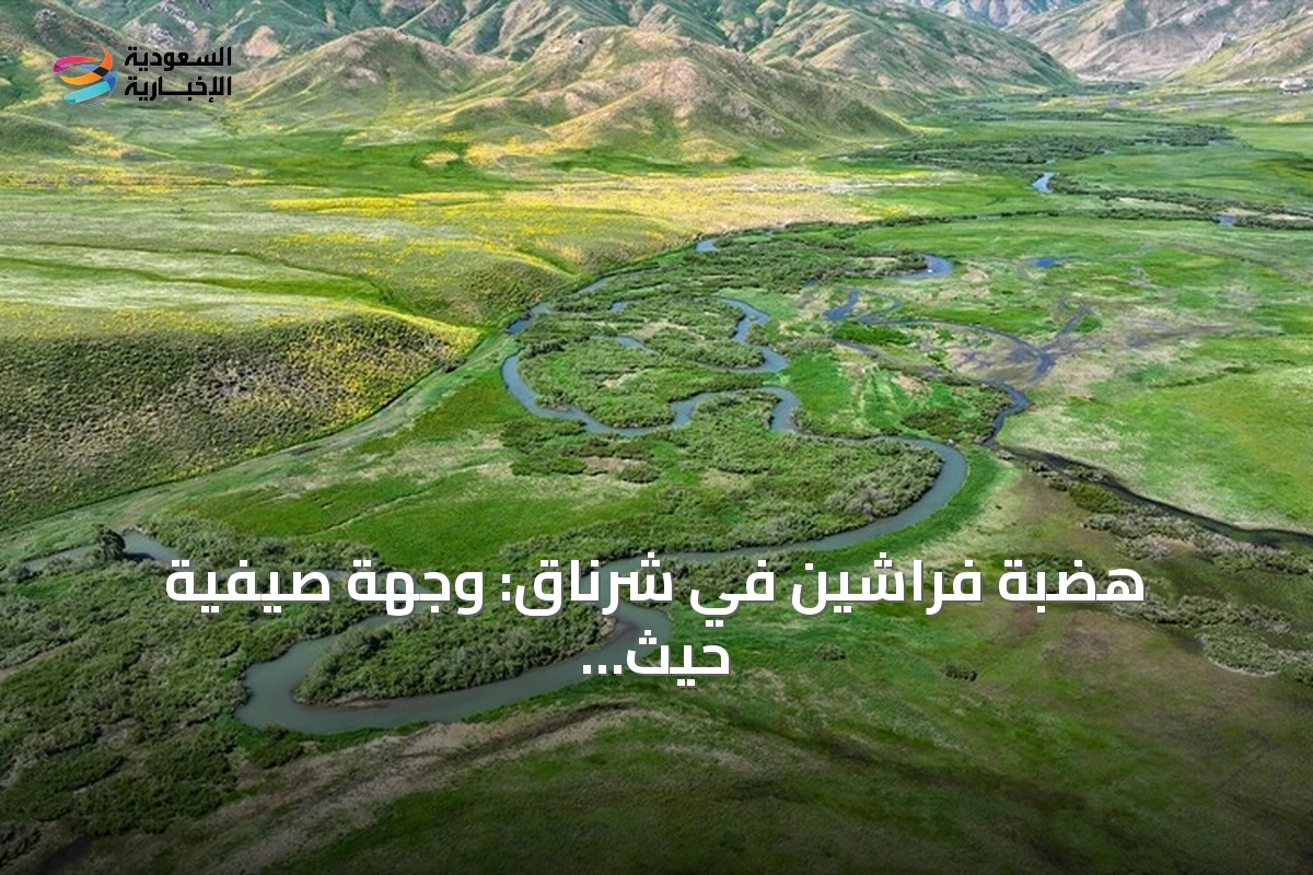 هضبة فراشين في شرناق: وجهة صيفية حيث تلتقي الثلوج بالمرج