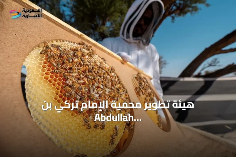 هيئة تطوير محمية الإمام تركي بن Abdullah الملكية تسجل أكثر من 11 ألف خلية نحل خلال موسمي الطلح والسدر