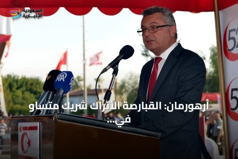 أرهورمان: القبارصة الأتراك شريك متساوٍ في ملكية قبرص وليسوا أقلية