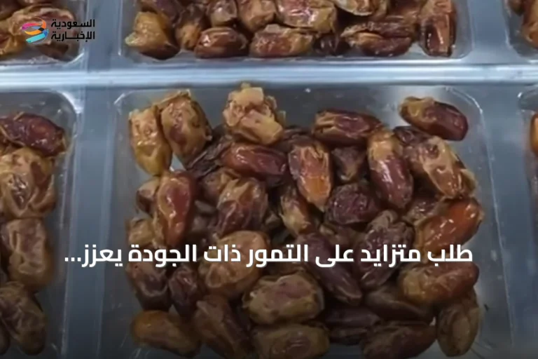 طلب متزايد على التمور ذات الجودة يعزز الصادرات المحلية