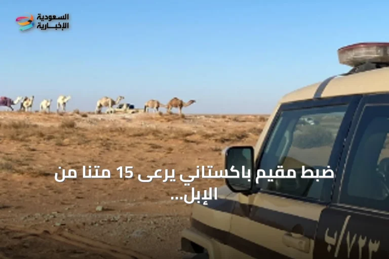 ضبط مقيم باكستاني يرعى 15 متنًا من الإبل في منطقة محمية الإمام تركي بن Abdullah